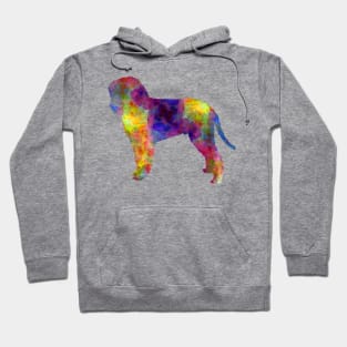 Romagna Water Dog in watercolor Hoodie